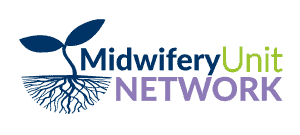 Newsletter 1: Welcome to Midwifery Unit Network!